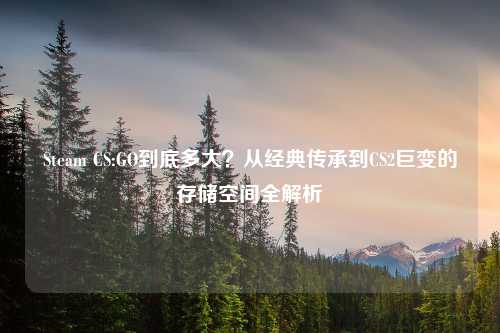 Steam CS:GO到底多大？从经典传承到CS2巨变的存储空间全解析