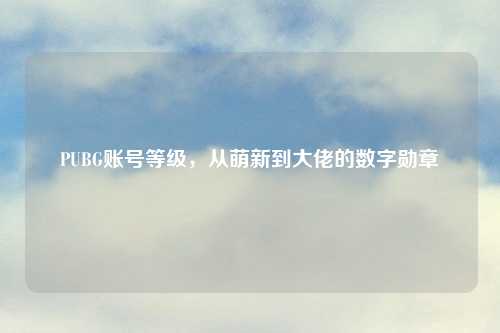 PUBG账号等级，从萌新到大佬的数字勋章