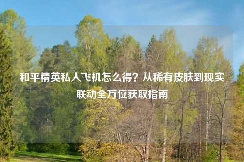 和平精英私人飞机怎么得？从稀有皮肤到现实联动全方位获取指南