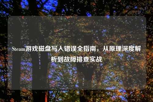Steam游戏磁盘写入错误全指南，从原理深度解析到故障排查实战