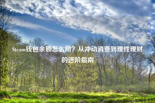 Steam钱包余额怎么用？从冲动消费到理性理财的进阶指南