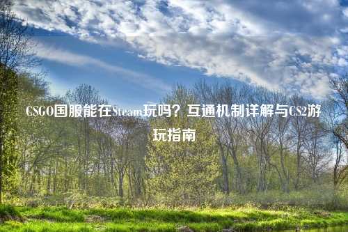 CSGO国服能在Steam玩吗？互通机制详解与CS2游玩指南