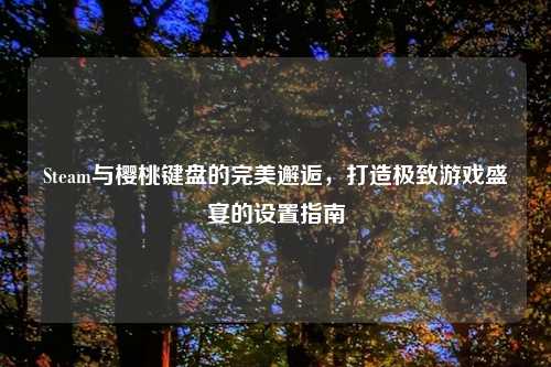 Steam与樱桃键盘的完美邂逅，打造极致游戏盛宴的设置指南