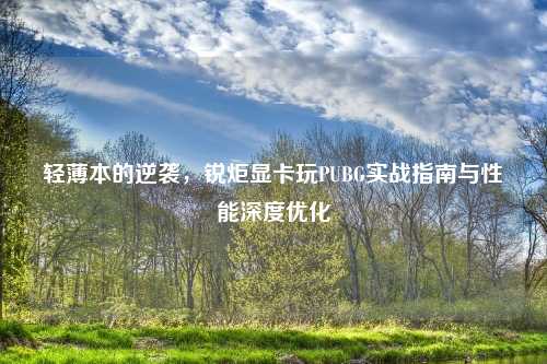 轻薄本的逆袭，锐炬显卡玩PUBG实战指南与性能深度优化