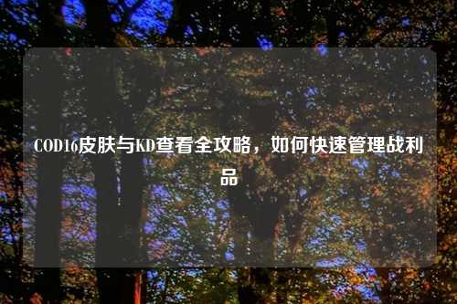 COD16皮肤与KD查看全攻略，如何快速管理战利品