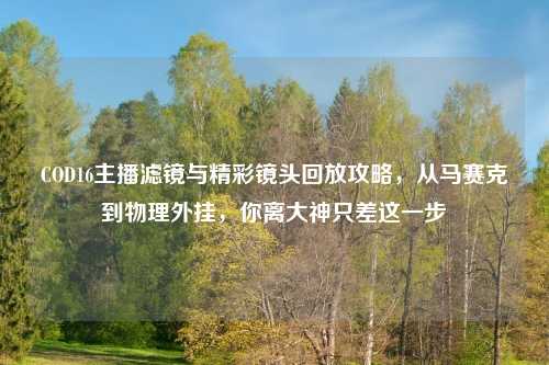 COD16主播滤镜与精彩镜头回放攻略，从马赛克到物理外挂，你离大神只差这一步