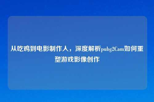 从吃鸡到电影     人，深度解析pubg2Cam如何重塑游戏影像创作