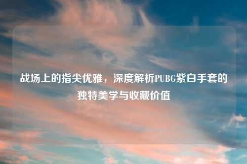 战场上的指尖优雅，深度解析PUBG紫白手套的独特美学与收藏价值