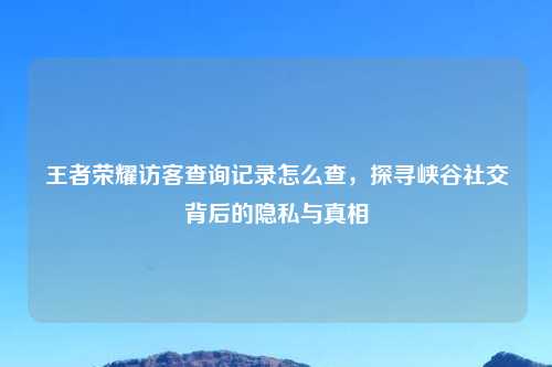 王者荣耀访客查询记录怎么查，探寻峡谷社交背后的隐私与真相
