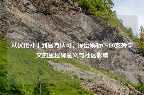 从汉化补丁到官方认可，深度解析CS:GO支持中文的里程碑意义与社区影响
