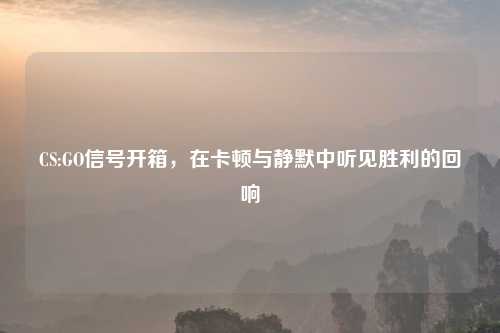 CS:GO信号开箱，在卡顿与静默中听见胜利的回响