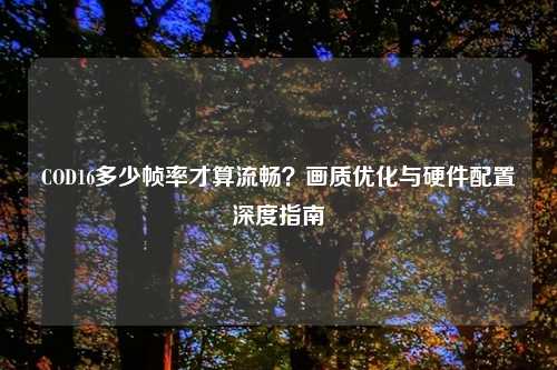 COD16多少帧率才算流畅？画质优化与硬件配置深度指南