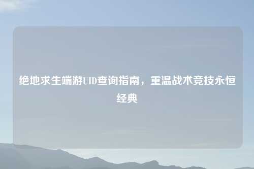 绝地求生端游UID查询指南，重温战术竞技永恒经典