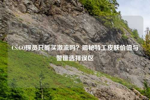 CS:GO探员只能买激流吗？揭秘特工皮肤价值与     选择误区