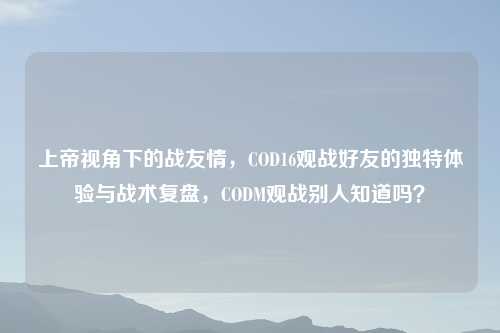 上帝视角下的战友情，COD16观战好友的独特体验与战术复盘，CODM观战别人知道吗？