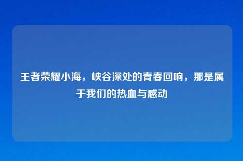 王者荣耀小海，峡谷深处的青春回响，那是属于我们的热血与感动