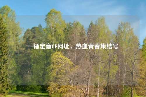 一锤定音CF网址，热血青春集结号