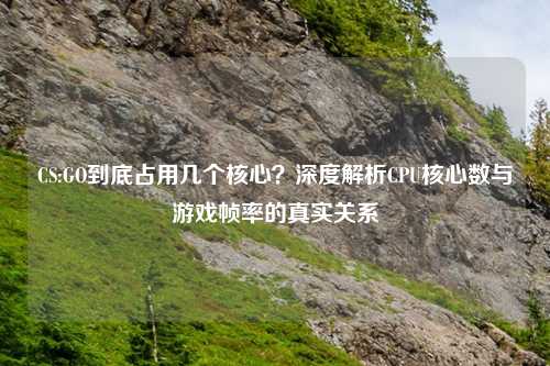 CS:GO到底占用几个核心？深度解析CPU核心数与游戏帧率的真实关系