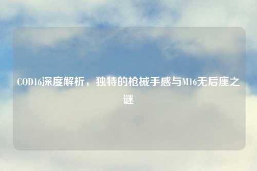 COD16深度解析，独特的枪械手感与M16无后座之谜