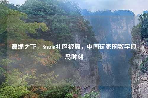高墙之下，Steam社区被墙，中国玩家的数字孤岛时刻