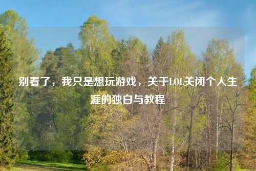 别看了，我只是想玩游戏，关于LOL关闭个人生涯的独白与教程