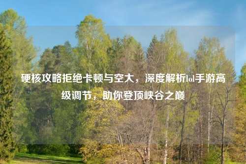 硬核攻略拒绝卡顿与空大，深度解析lol手游高级调节，助你登顶峡谷之巅