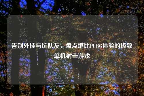 告别外挂与坑队友，盘点堪比PUBG体验的极致单机射击游戏