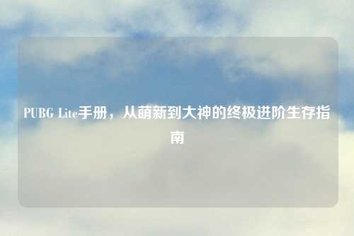 PUBG Lite手册，从萌新到大神的终极进阶生存指南