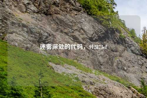 迷雾深处的代码，912873cf