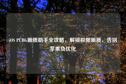 iOS PUBG画质助手全攻略，解锁极限画质，告别苹果负优化