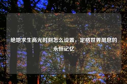 绝地求生高光时刻怎么设置，定格世界屏息的永恒记忆