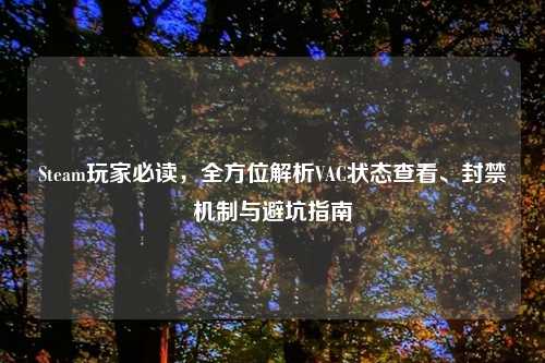 Steam玩家必读，全方位解析VAC状态查看、封禁机制与避坑指南