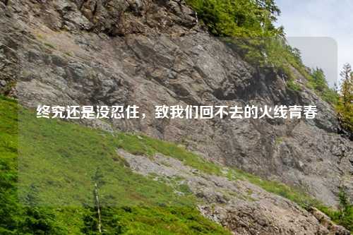 终究还是没忍住，致我们回不去的火线青春
