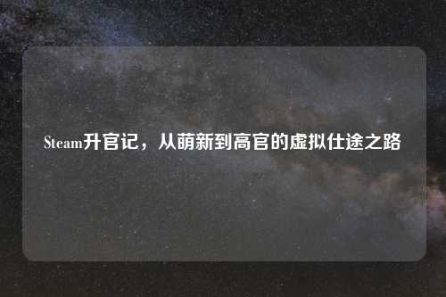 Steam升官记，从萌新到高官的虚拟仕途之路