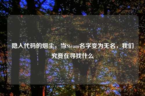 隐入代码的烟尘，当Steam名字变为无名，我们究竟在寻找什么