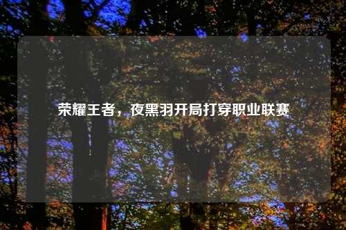 荣耀王者，夜黑羽开局打穿职业联赛
