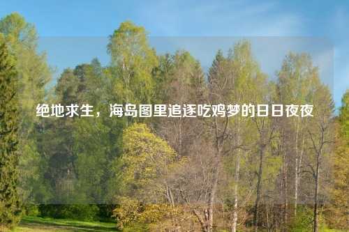 绝地求生，海岛图里追逐吃鸡梦的日日夜夜