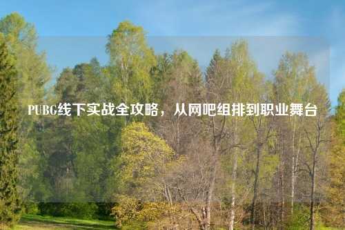 PUBG线下实战全攻略，从网吧组排到职业舞台