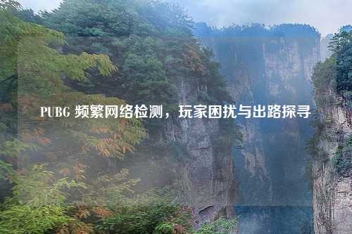 PUBG 频繁     检测，玩家困扰与出路探寻