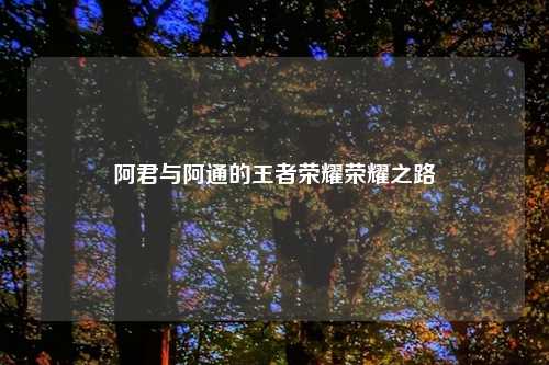 阿君与阿通的王者荣耀荣耀之路