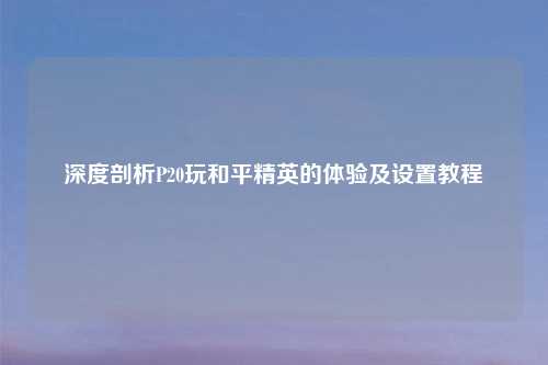 深度剖析P20玩和平精英的体验及设置教程
