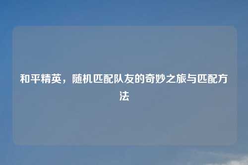 和平精英，随机匹配队友的奇妙之旅与匹配     