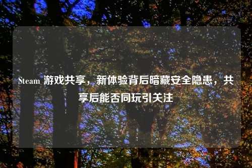 Steam 游戏共享，新体验背后暗藏安全隐患，共享后能否同玩引关注