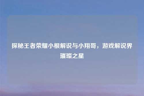 探秘王者荣耀小根解说与小翔哥，游戏解说界璀璨之星