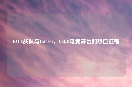 FACE战队与Falcons，CSGO电竞舞台的热血征程