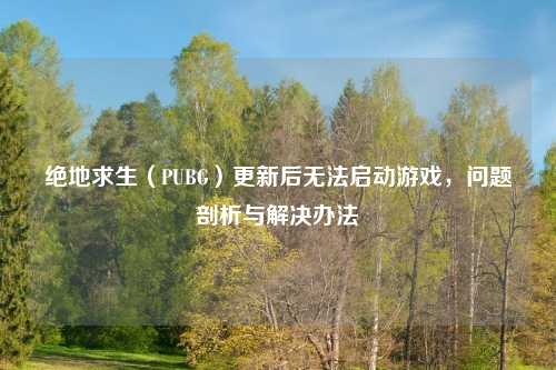 绝地求生（PUBG）更新后无法启动游戏，问题剖析与解决办法