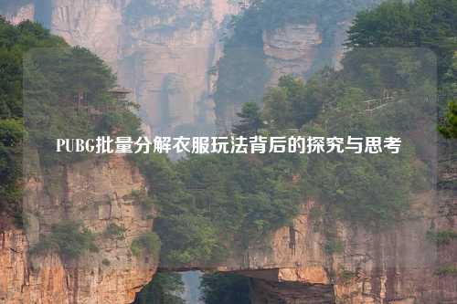 PUBG批量分解衣服玩法背后的探究与思考