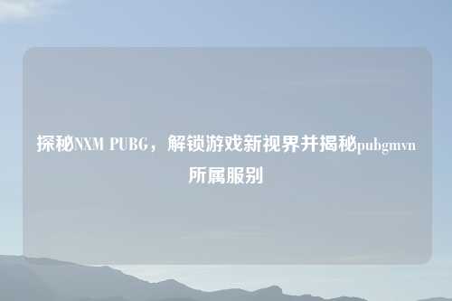 探秘NXM PUBG，解锁游戏新视界并揭秘pubgmvn所属服别