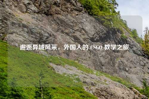 邂逅异域风采，外国人的 CSGO 教学之旅