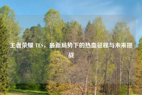 王者荣耀 TES，最新局势下的热血征程与未来挑战
